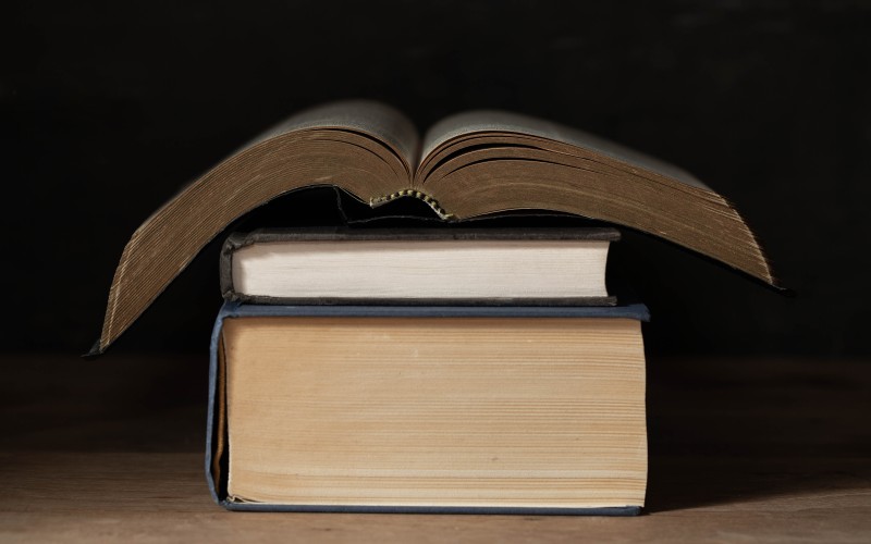 Características de la novela morisca