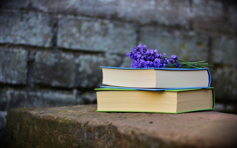Características del Futurismo literario