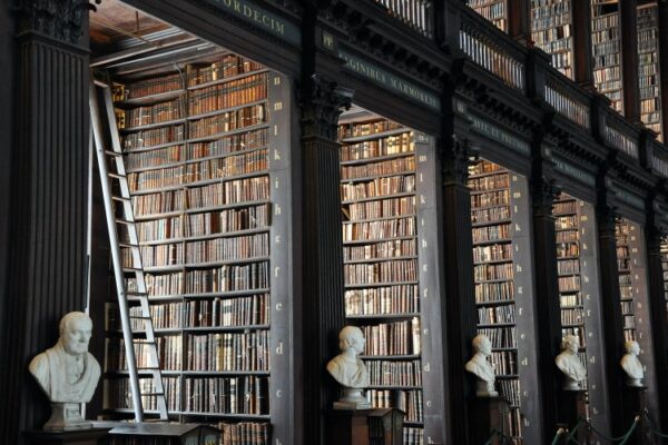 ¿Cuáles son las ramas de la filosofía?