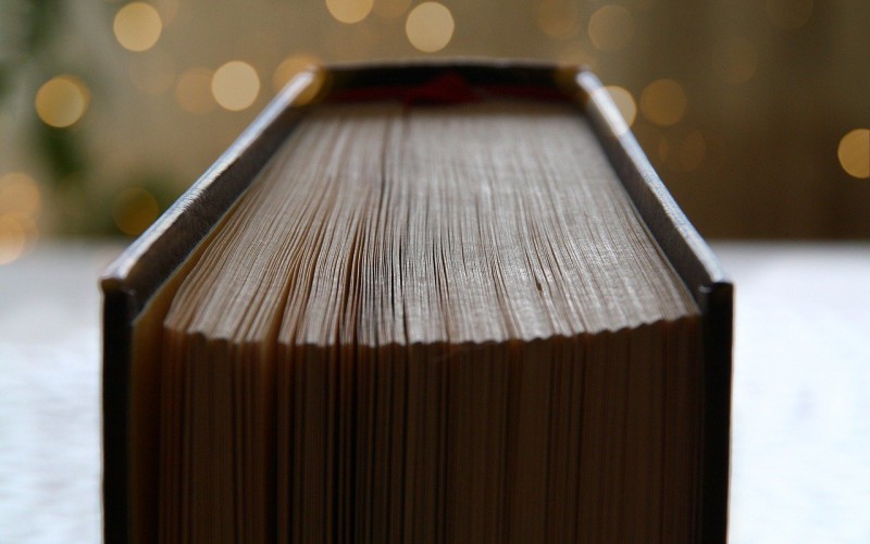 Stefan Zweig y sus libros más importantes